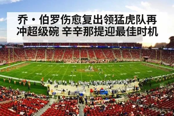 乔·伯罗伤愈复出领猛虎队再冲超级碗 辛辛那提迎最佳时机