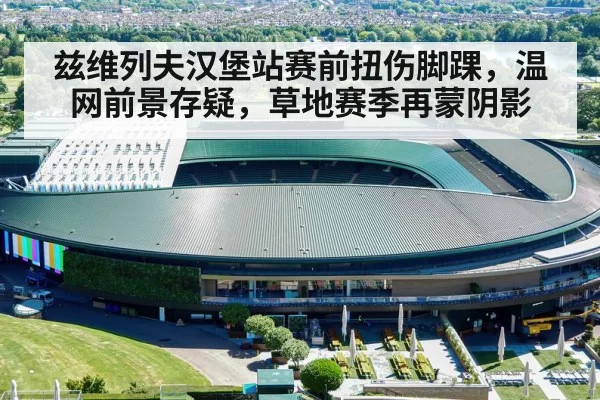 兹维列夫汉堡站赛前扭伤脚踝，温网前景存疑，草地赛季再蒙阴影