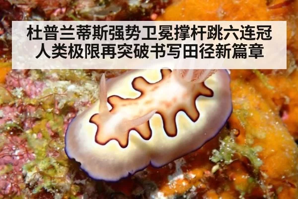 杜普兰蒂斯强势卫冕撑杆跳六连冠 人类极限再突破书写田径新篇章
