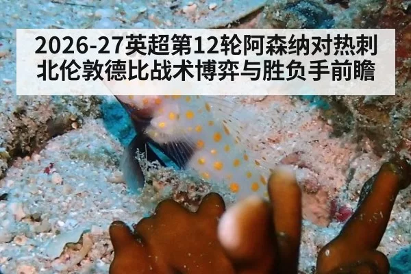 2026-27英超第12轮阿森纳对热刺北伦敦德比战术博弈与胜负手前瞻